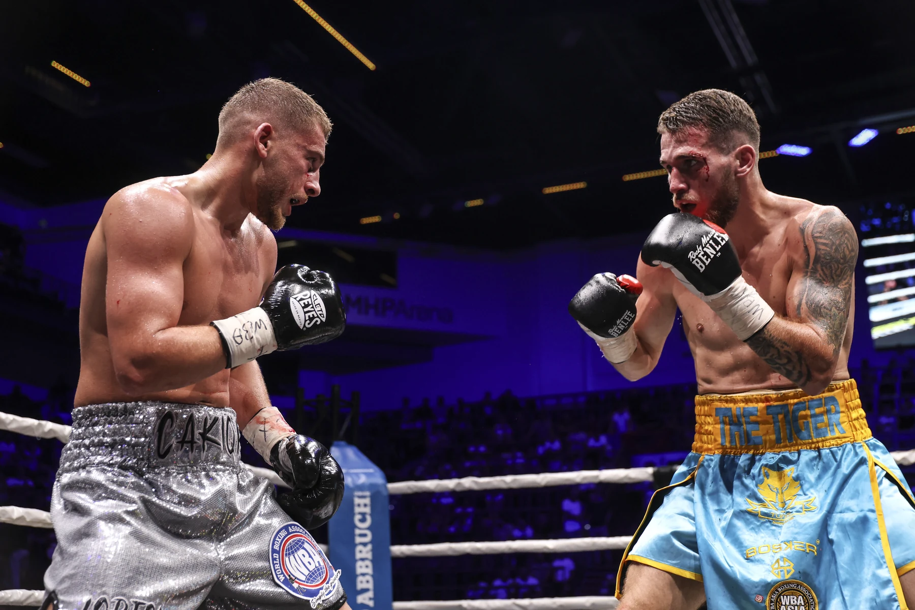 Florent Dervis in action in the ring